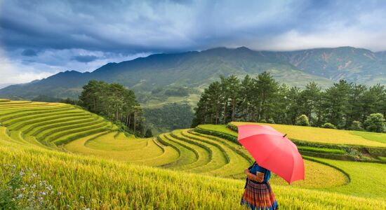 Essential Vietnam and Cambodia: A Budget-Friendly Adventure 19-Day